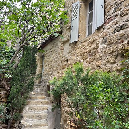 Le Petit Egregore, Patio Et Climatisation Lauris Exterior photo